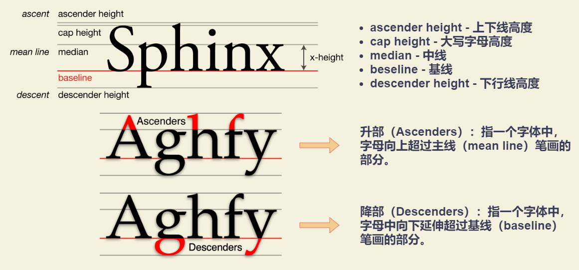 x-height